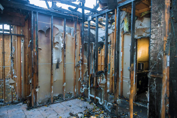Professional Smoke Damage Removal technician working in Wildomar, CA